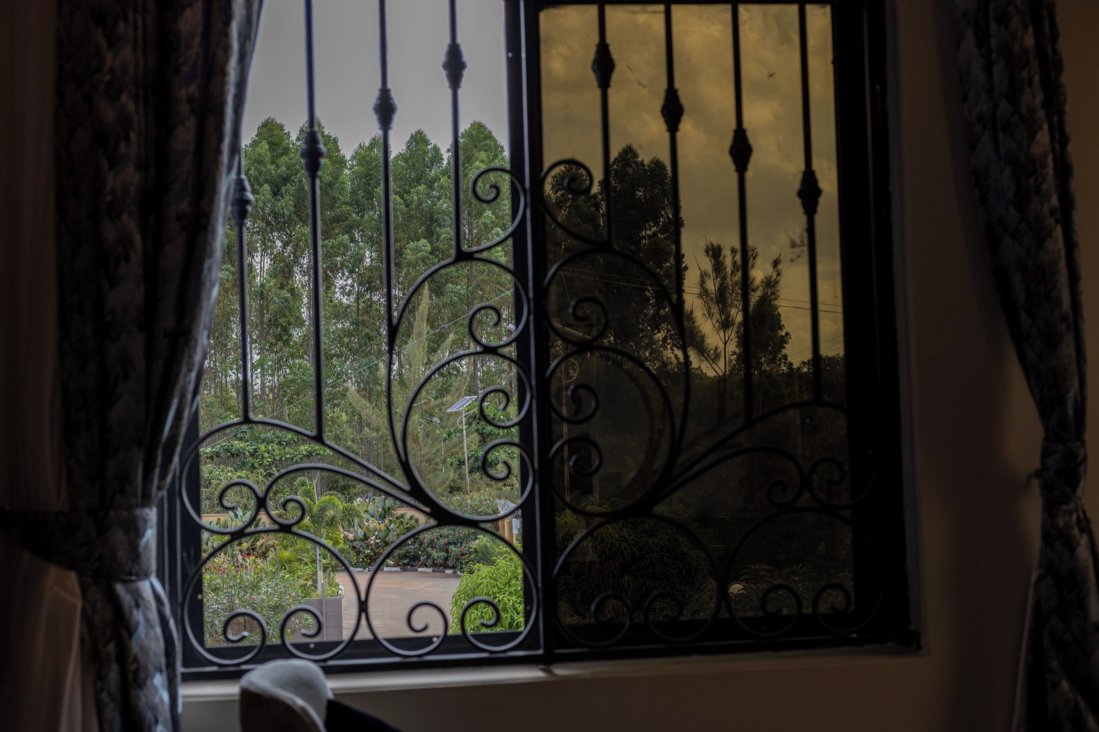 A window with ornate metal bars and a view of a garden.