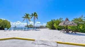 Una playa con sillas de descanso, una sombrilla de paja y palmeras.