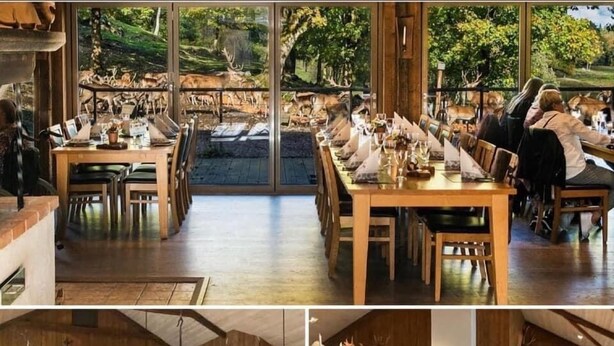 Un restaurante con un interior rústico, con paredes y techo de madera, y un amplio ventanal con vistas a un bosque. Las mesas están dispuestas con manteles blancos y copas de vino.