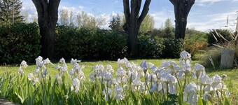 Vintage charm with walled garden near Vichy