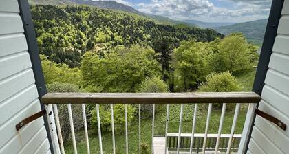 Appartement T3 à Saint-Jacques-des-Blats, 2 chambres, parking, animaux acceptés