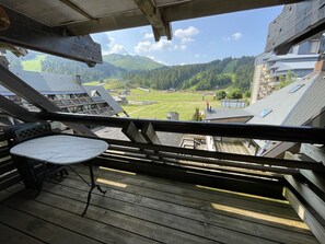 Property grounds - South-Facing Studio with Balcony and Easy Access to Shops and Ski Slopes (Le Lioran)