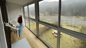 A room with large windows, a hanging chair, and a view of a forested area.