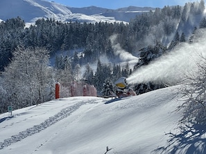 Esportes de neve e esqui