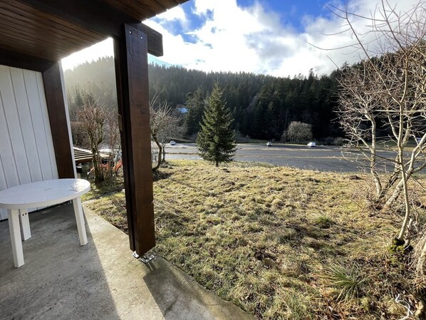 Terrace/patio - Renovated studio in Le Lioran, pets allowed (Le Lioran)