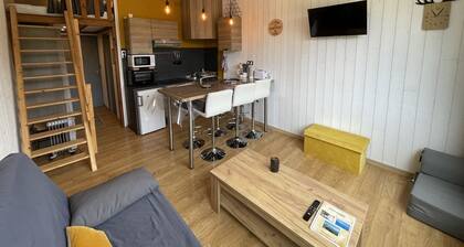 Studio rénové au pied des pistes, idéal pour 4 pers, avec WiFi, animaux acceptés, casier à skis inclus