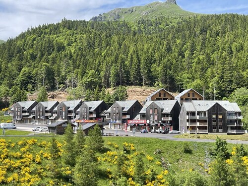 Studio cosy face aux pistes avec mezzanine et navette gratuite