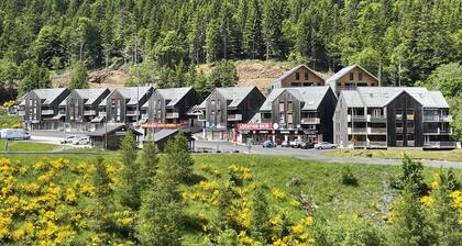 Studio cosy face aux pistes avec mezzanine et navette gratuite