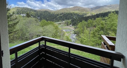 T2 cabin with balcony, near slopes
