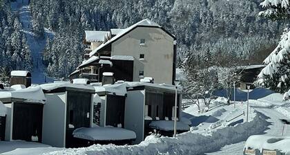 Studio 35mÂČ pour 5 pers. avec balcon, centre station, proche commerces et pistes, animaux acceptĂ©s.