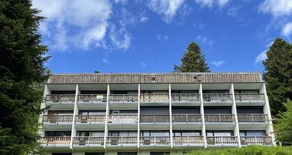 Bel appartement rénové T2 avec balcon au pied des pistes