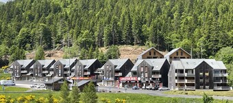 Charming Studio Facing Ski Slopes - Pet Friendly, South Exposure