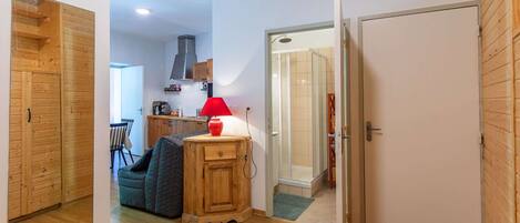 Un espace de vie compact comprenant un coin cuisine, une armoire en bois, un petit coin salon et une porte donnant accès à une salle de bain.