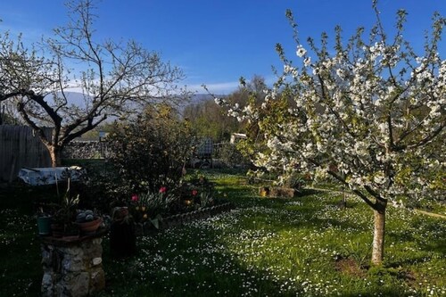 [Large Private Garden] Friulian Dolomites-Sequals 