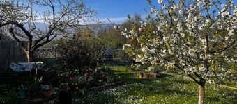 [Large Private Garden] Friulian Dolomites-Sequals 