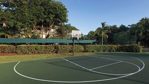 An outdoor basketball court with a green surface, surrounded by trees and a hedge.
