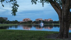 A park with a lake, a fountain, and buildings in the background.
