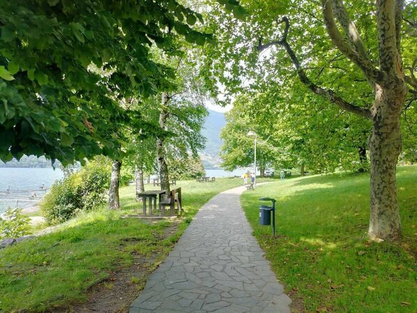A park path with benches and a picnic table, surrounded by trees and a lake view.