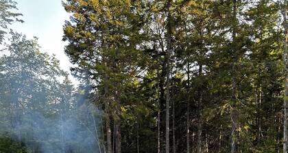 Acadia National Park just 34 minutes from this quiet retreat on five acres