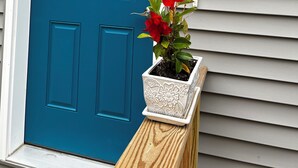 Une porte bleue surmontée d’une fenêtre blanche, un pot de fleurs avec des fleurs rouges et un luminaire fixé au mur.