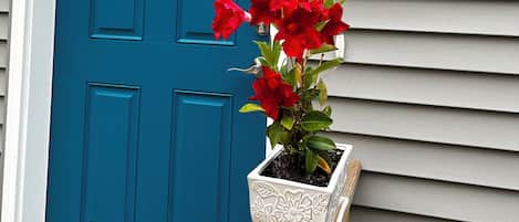 A blue door with a white window above it, a potted plant with red flowers, and a wall-mounted light fixture.