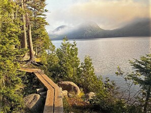 En träpromenad som leder till en sjö, omgiven av träd och berg.