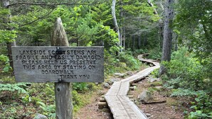 Une promenade en bois aménagée dans une zone boisée, avec un panneau d’avertissement indiquant la fragilité des écosystèmes riverains et invitant les visiteurs à rester sur la promenade afin de préserver le site.