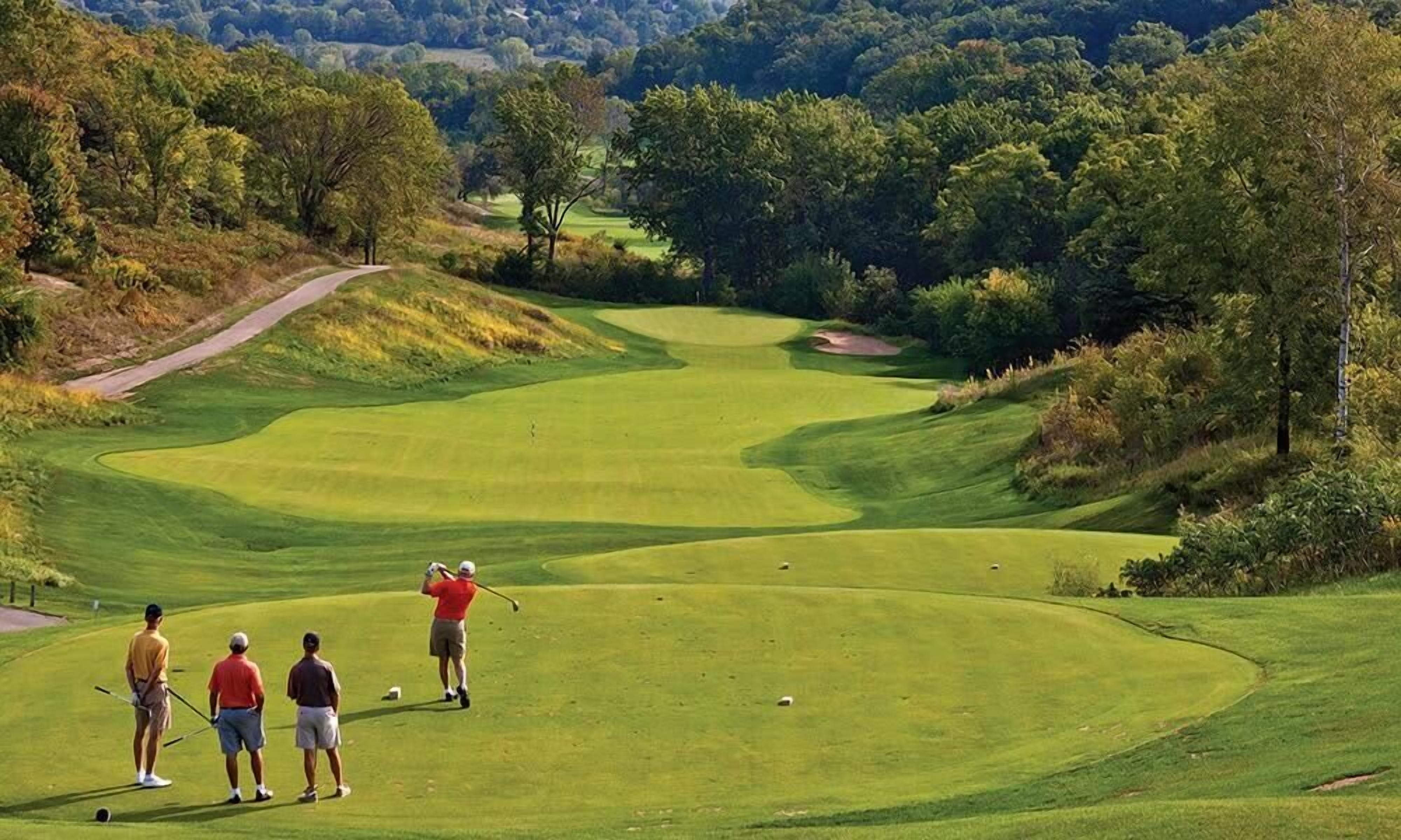 1br Condo Golfing in Beautiful Galena