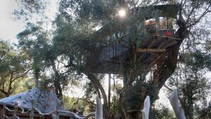 Une cabane perchée dans un grand arbre, entourée d’une clôture en bois et d’une structure en pierre.