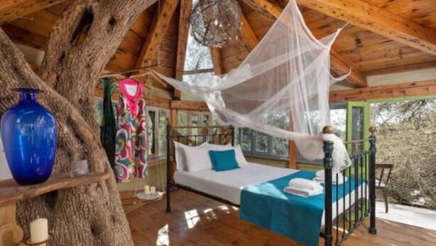 Une chambre aménagée dans un arbre, avec un lit, un fauteuil suspendu et un grand tronc d’arbre.
