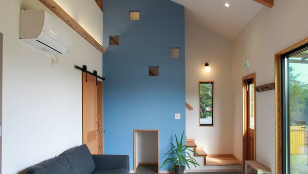 A modern interior with a blue accent wall, a sofa, a potted plant, and a wooden bench. - Aiming to create a place where even timid dogs can play to their heart's content. (九十九里町)