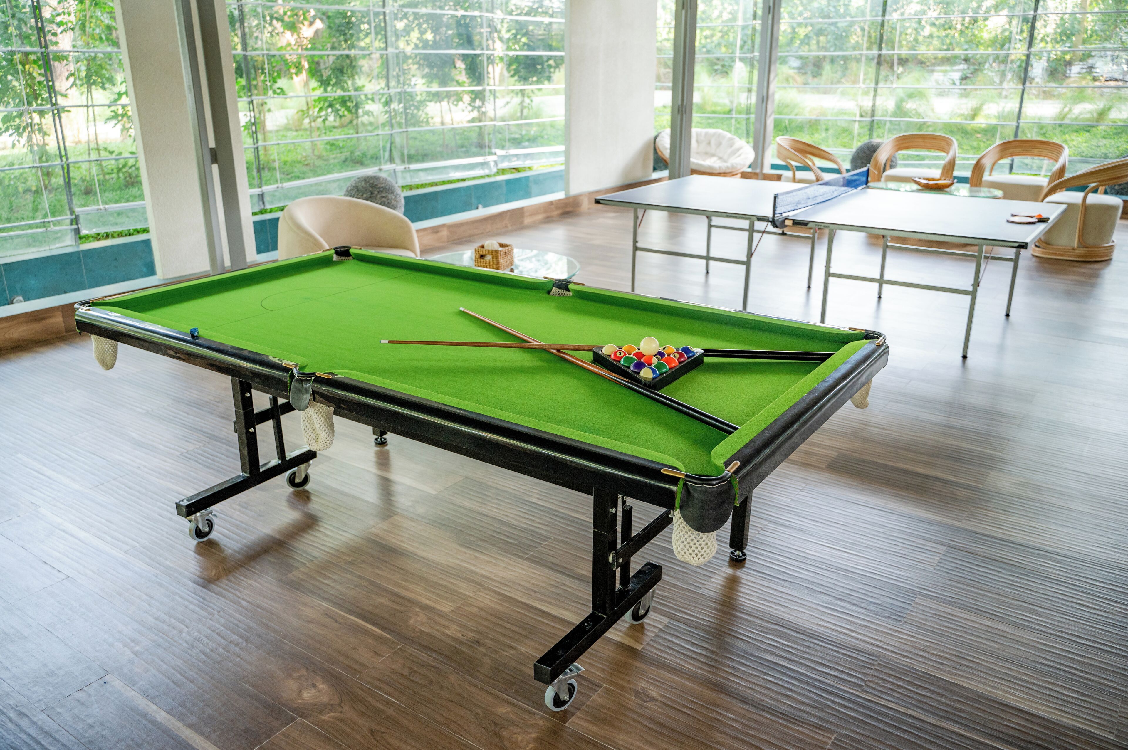 A pool table with a green felt surface, a cue stick, and a set of balls. There is a window with a view of greenery outside.