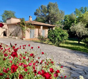 Overnattingsstedets uteområder