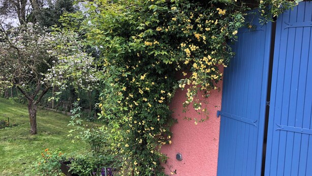 Exterior detail - A self-contained studio in a green setting  (Chatou)