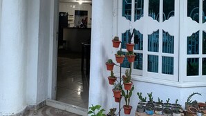A covered outdoor area with a tiled floor, a white column, a window with white frames, and a variety of potted plants. - Hostel VIM (Cartagena)