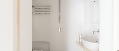 A bathroom with a toilet, a sink, a mirror, and a shower.