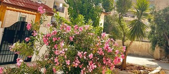 Charming house with AC in enchanting Irbid