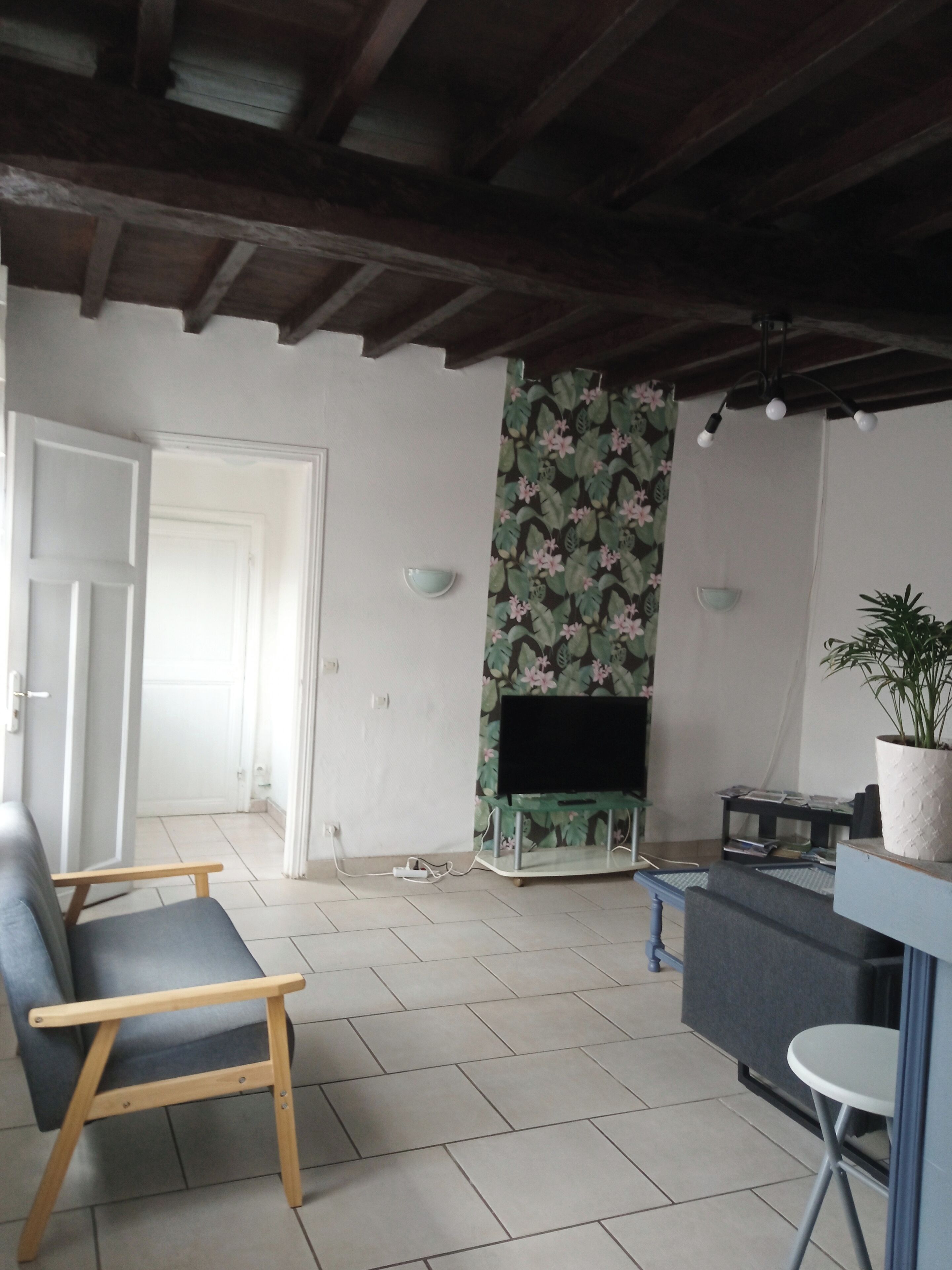 Een woonkamer met een bank, televisie en een potplant.