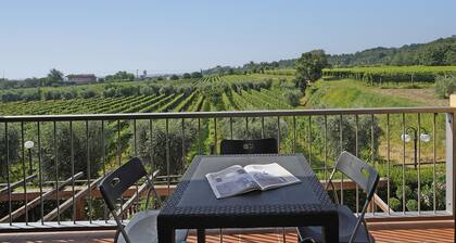 Borgo Alto P1-16 by Wonderful Italy