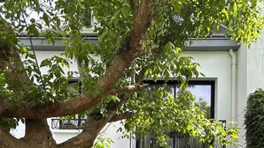 Una casa moderna con patio, caratterizzato da un pavimento in legno, una sedia rossa, un tavolo bianco e un tappeto colorato.
