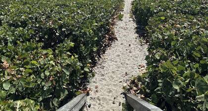 Island Vibes Beach House~ 4 min. Walk 2 Beach • Heated Pool • King Beds