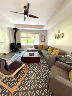 Smart TV, fireplace, books, stereo