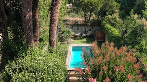 Ein Pool, umgeben von üppiger Vegetation und Palmen.