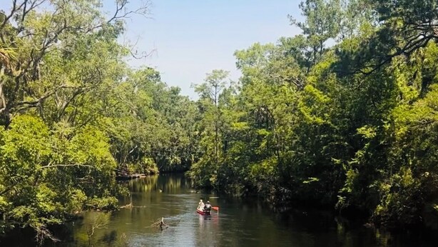 A wooden deck with a table and chairs overlooking a calm river surrounded by dense greenery. - The River House - Island Getaway on the Steinhatchee River (Steinhatchee)