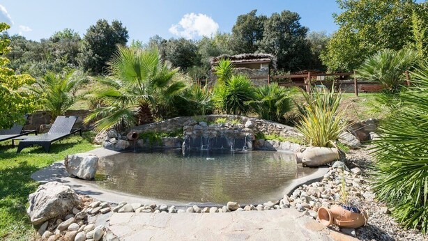 A garden with a pond, palm trees, and a stone structure. - La Casetta dello Scoiattolo  (Gavorrano)