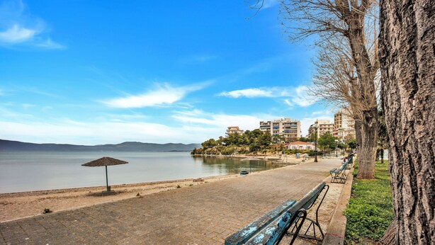 A waterfront park with benches, a tree, and a view of buildings across the water.