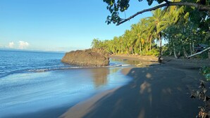 A beach with a large rock formation, palm trees, and a clear sky. - JENENÉ LODGE (Nuquí)