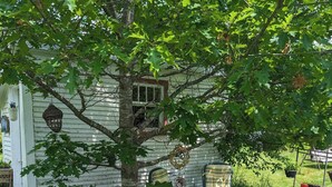 Une maison avec un grand arbre devant, une chaise et un jardin.
