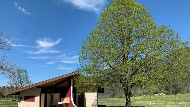 Ein kleines Gebäude mit geneigtem Dach und roter Akzentwand, gelegen in einem grünen Feld mit einem großen Baum in der Nähe.