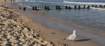 Beach Days & Boardwalk Nights...Belmar Stay